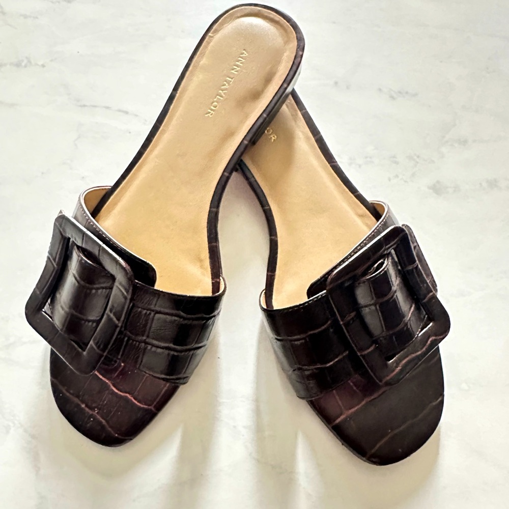 Ann Taylor Sutton Brown Croc Sandals in Size 6